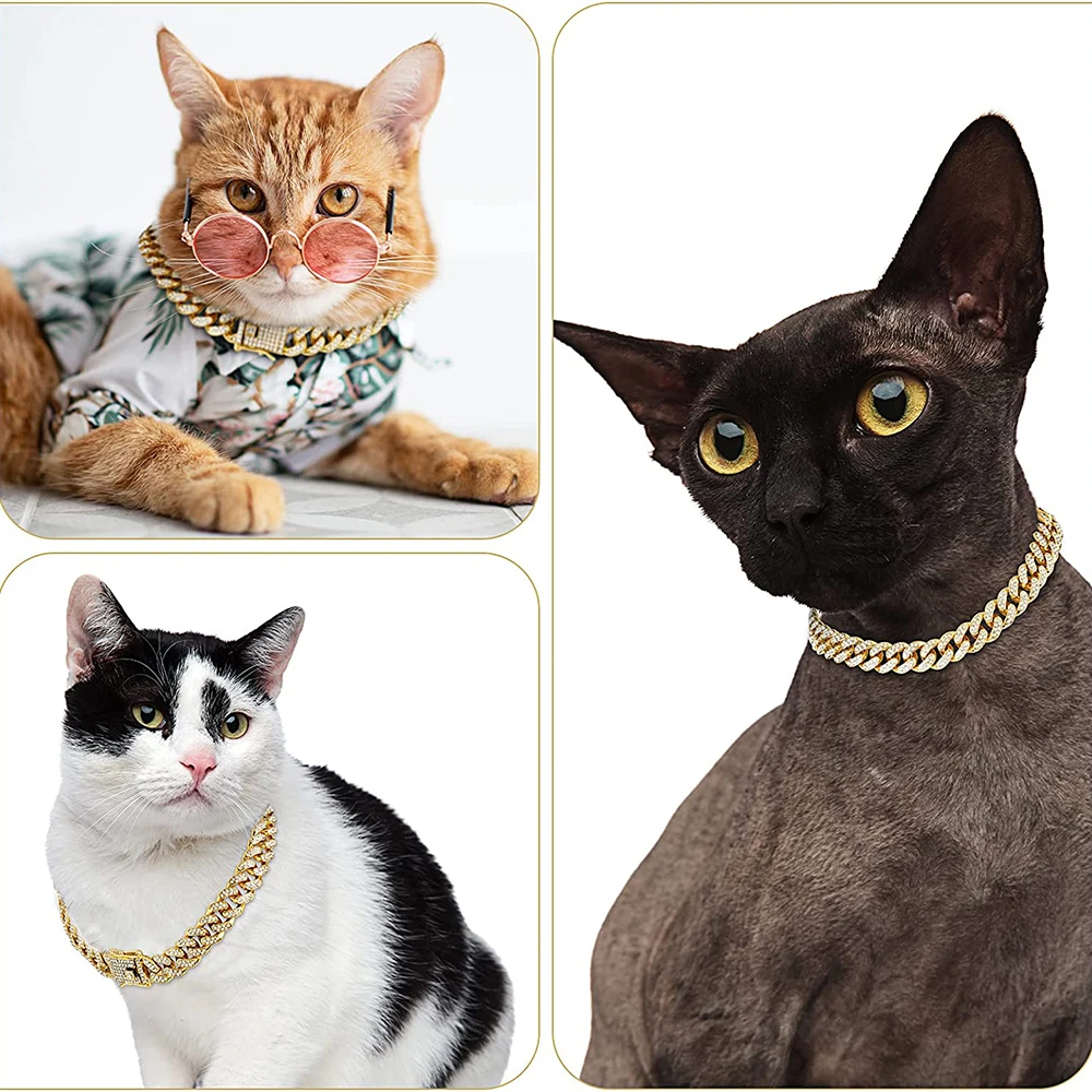 Rhinestone Dog Chain Collar Me - Chain Quick Link review and price