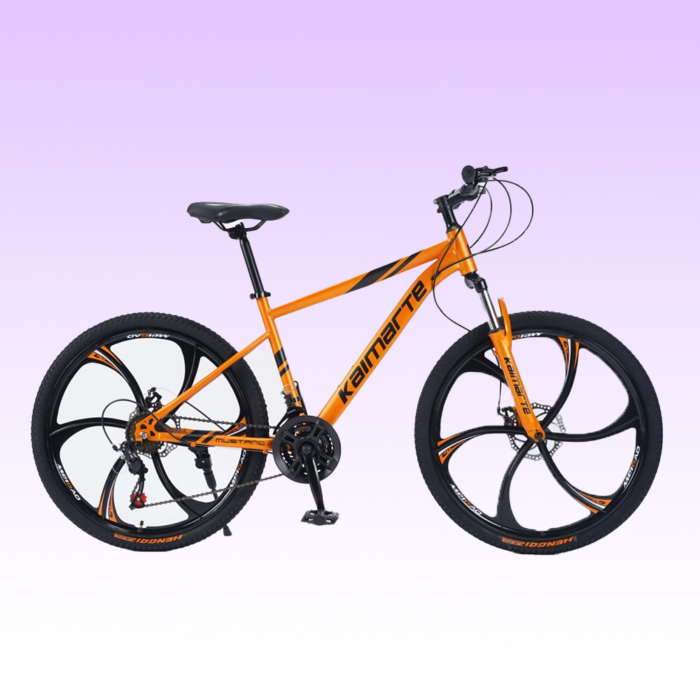 OEM Customized 26 27.5 29 Inch - Mountain Biking Europe review and price